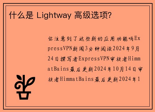 什么是 Lightway 高级选项？ 